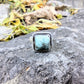 #K16 Natural Larimar Ring